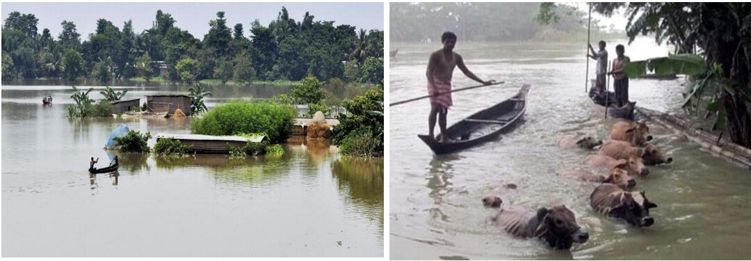 assam flood