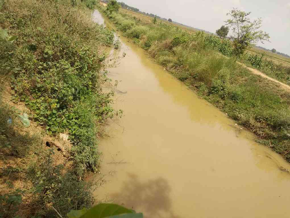 Cannal, in Bhojpur